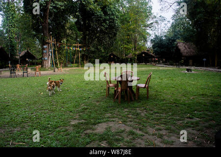 Sights at Nameri National Park Stock Photo