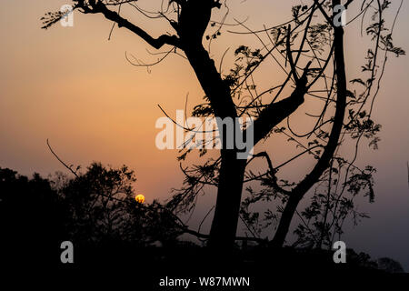 View from Umananda temple is located in an island surrounded by Bhramputra river Stock Photo