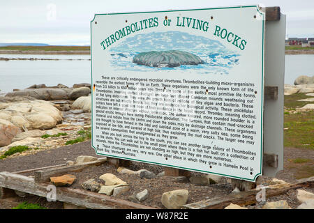 Interpretive board along Thrombolites Trail, Flowers Cove, Newfoundland and Labrador, Canada Stock Photo