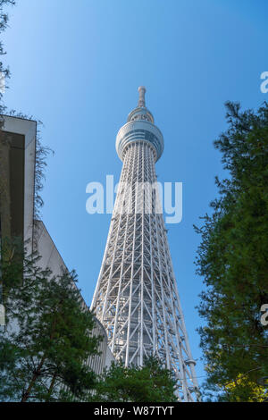 View from below looking up at the Tokyo Skytree, Tokyo, Japan Stock Photo