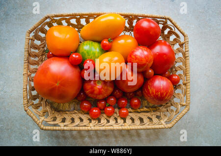 Different types of organic tomatoes in a basket - orange, green, red tomatoes, cherry tomatoes Stock Photo