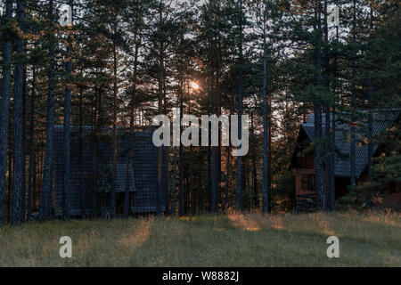 Mountain Tara Serbia A Log Cabin Placed In The Woods Stock