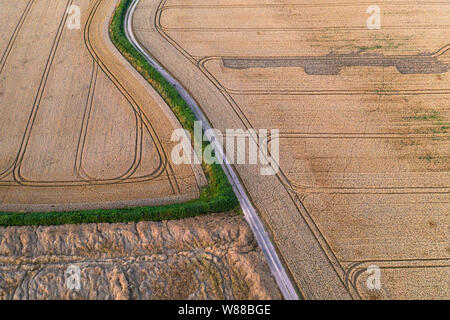 Textures and patterns of ripe golden grain field. Aerial shoot Stock Photo