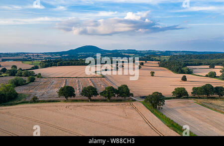 Drone shoot of ripe wheat fields in warm sunset light with the Wrekin hill in background. Shropshire in United Kingdom Stock Photo