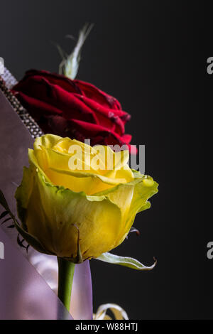 Yellow and red rose flower bouquet on a grey background Stock Photo