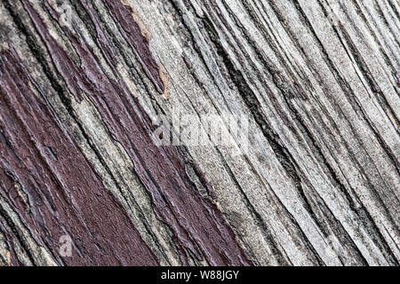 Diagonalstriped wood texture background Stock Photo
