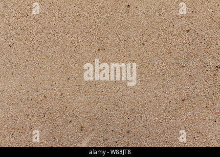 On the wall, light-colored plaster from coarse sand, background. Stock Photo