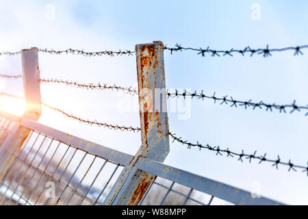 Barbed wire on a cutting fence against a blue sky. Stock Photo