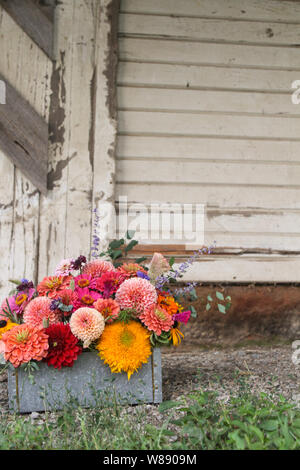 Flower Arrangement in Box in Front of White Wood Background Stock Photo