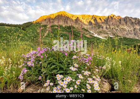 The sun hits the top of Gothic Mountain above a field of millions of wildflowers near Crested Butte, Colorado. Stock Photo