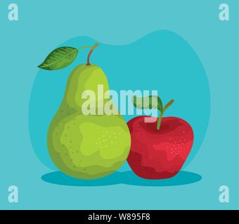 delicious pear and apple fruits nutrition Stock Vector
