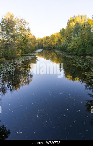 Narrow river channel. River canal in the fall. Vertical frame. Stock Photo