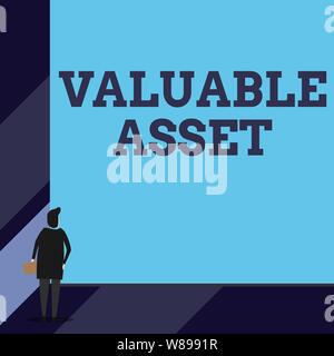 Handwriting text Valuable Asset. Conceptual photo Your most valuable asset is your ability or capacity Back view young woman watching blank big rectan Stock Photo