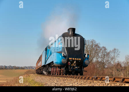 A4 Pacific No.4464 Bittern rounds the curve shortly after departing Bewdley on the SVR Stock Photo