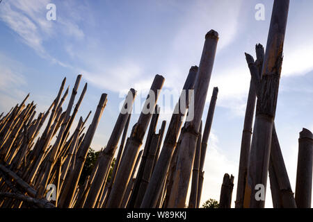 Fencing created using the dry reeds and environmental resources available. Stock Photo