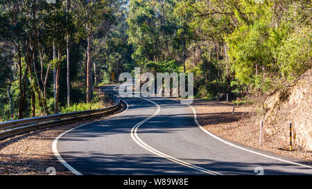 A Road winding through the Forest Stock Photo