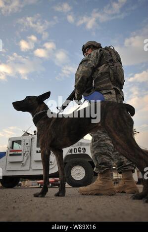 U.S. Army Staff Sgt. Christopher Ogle and Liaka, a military working dog, prepare for the dayís mission, a joint search and patrol conducted by U.S. soldiers and the Iraqi National Police in the Hadar community of Baghdad, Iraq, on Nov. 29, 2008. Stock Photo