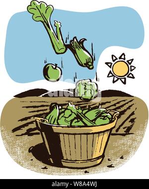 Falling vegetables & fruit, corn apples lettuce cabbage cellery  into a wicker basket in front of a rowed field & the sun & sky Stock Vector