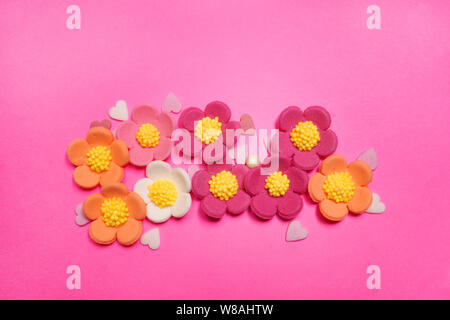 Easter flower on pink background Stock Photo