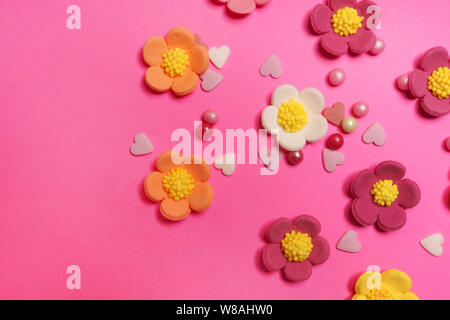 Easter flower on pink background Stock Photo