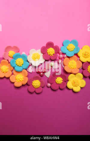 Easter flower on pink background Stock Photo