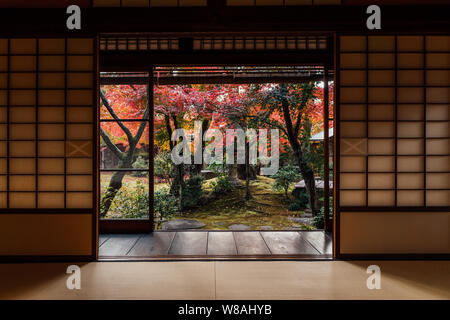 View from the inside of a old, traditional building through sliding doors into Japanese garden with red maple leaves during autumn sunset Stock Photo