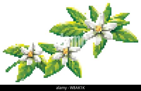 White flowers on green leaves illustration Stock Vector