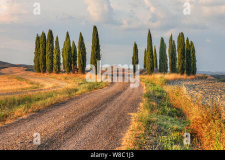 San Quirico, Tuscany, Italy, Europe Stock Photo