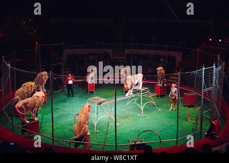 representation of lions in a cage in the circus Stock Photo