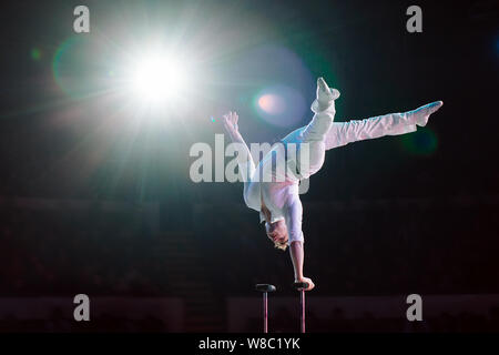 Man's aerial acrobatics in the Circus ring. Stock Photo