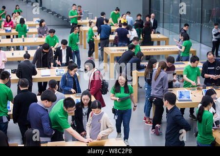 apple store green shirts