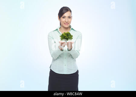 Businesswoman holding a tree in her hands Stock Photo