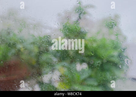 Rain Drops On Surface of wet Window Glass pane In Rainy Season. Abstract background. Natural Pattern of raindrops isolated from blurry tree in outdoor Stock Photo