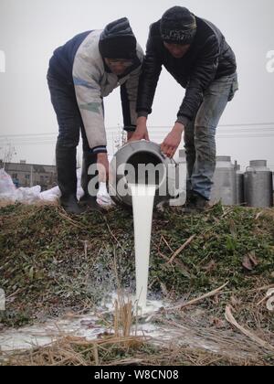 Two Chinese farmers dump raw milk at a cow farm in Tanjia village, Situ Town, Danyang city, east China's Jiangsu province, 9 January 2015.   The Minis Stock Photo