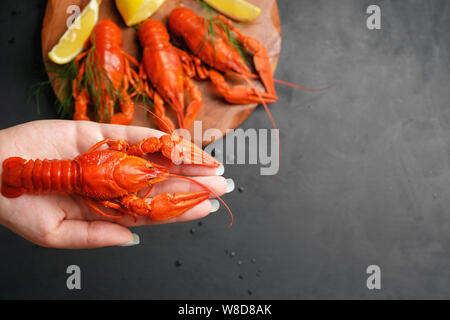 lobster in hand of woman, lobsters with lemon lime on black background top view Stock Photo