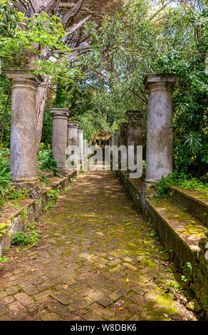 Italy, Capri, plants and flowers in the typical streets Stock Photo