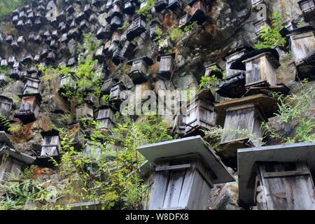 View of wooden hives on the cliff of a mountain in Guanmen Mountain National Forest Park of the Shennongjia Nature Reserve in Muyu town, central China Stock Photo