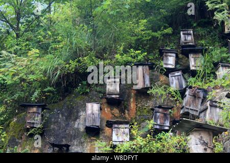 View of wooden hives on the cliff of a mountain in Guanmen Mountain National Forest Park of the Shennongjia Nature Reserve in Muyu town, central China Stock Photo