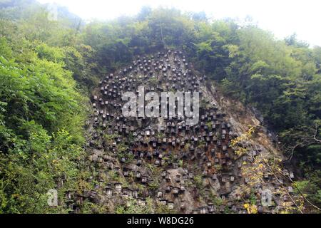 View of wooden hives on the cliff of a mountain in Guanmen Mountain National Forest Park of the Shennongjia Nature Reserve in Muyu town, central China Stock Photo