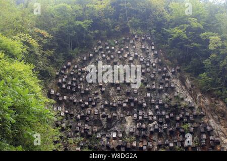 View of wooden hives on the cliff of a mountain in Guanmen Mountain National Forest Park of the Shennongjia Nature Reserve in Muyu town, central China Stock Photo