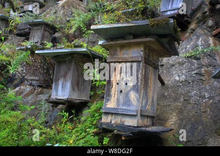 View of wooden hives on the cliff of a mountain in Guanmen Mountain National Forest Park of the Shennongjia Nature Reserve in Muyu town, central China Stock Photo