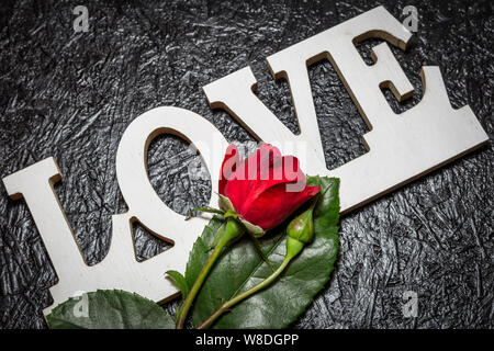Romantic background with word love and red rose. Valentine's day greeting card. Close-up photo with selective focus on rose. Stock Photo