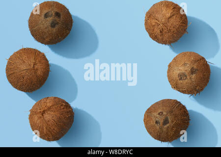 Coconuts on blue background with copy space in the middle, coconuts colourful flat lay Stock Photo