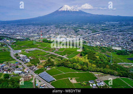 Japan, Honshu, Shizuoka, tea fields and Mount Fuji Stock Photo