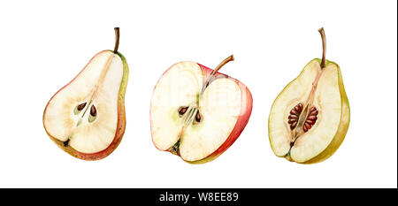 fruits half slice set pink apple pear golden quince seeds realistic botanical watercolor illustration juicy isolated on white hand drawn, tropical Stock Photo