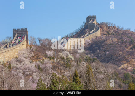 Editorial: BEIJING, CHINA, April 4, 2019 - The Great Wall winding through the hills in Badaling Stock Photo