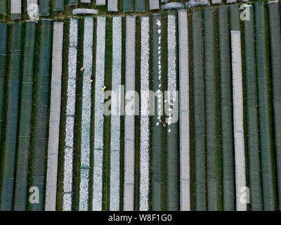 Aerial view of Chinese villagers drying fish at a sunning ground in Xintang village, Changxing county, Huzhou city, east China's Zhejiang province, 30 Stock Photo