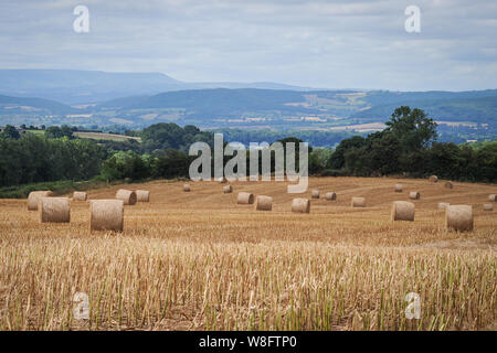 View from Pencombe, Herefordshire towards Hay Bluff. Stock Photo
