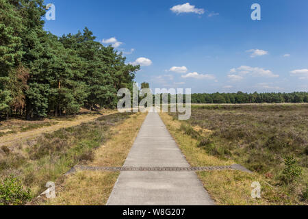 Bicycle path in national park Dwingelderveld, Netherlands Stock Photo