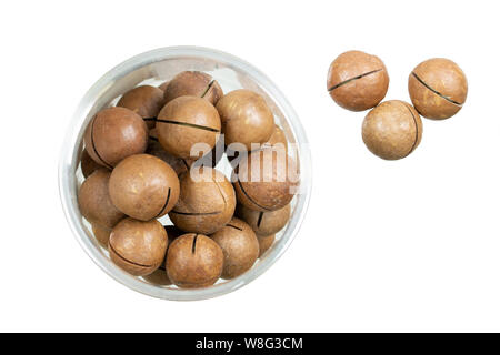 Macadamia nuts isolated on white. Inshell whole macadamia nuts in a transparent jar Stock Photo